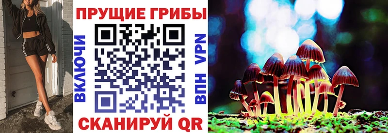 закладки  Нижневартовск  Псилоцибиновые грибы Psilocybine cubensis 
